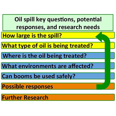 Understanding and Managing Oil Leaks